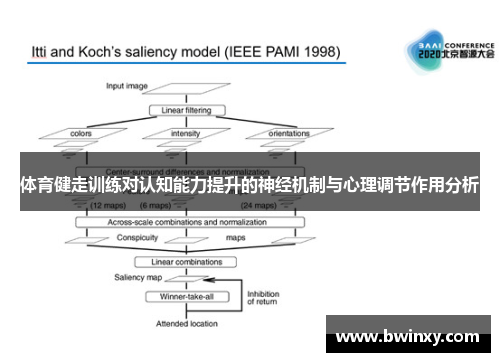 体育健走训练对认知能力提升的神经机制与心理调节作用分析
